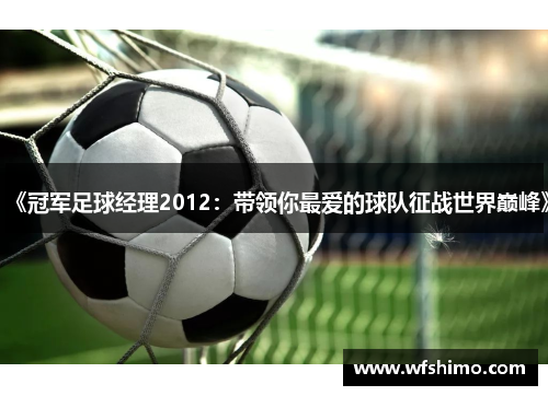 《冠军足球经理2012：带领你最爱的球队征战世界巅峰》