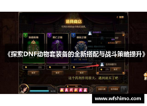 《探索DNF动物套装备的全新搭配与战斗策略提升》