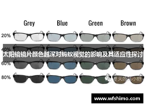 太阳镜镜片颜色越深对蚂蚁视觉的影响及其适应性探讨