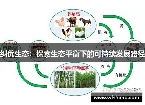 纠优生态:探索生态平衡下的可持续发展路径 纠优生态:探索生态平衡下的可持续发展路径