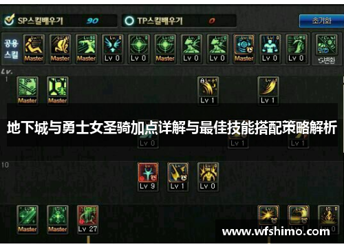 地下城与勇士女圣骑加点详解与最佳技能搭配策略解析